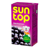 Suntop Black Currant